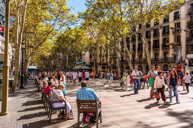 Barcelona Highlights Private Guided Tour with Hotel Pick-up - A fast, flexible way to map Barcelona from inside a private van