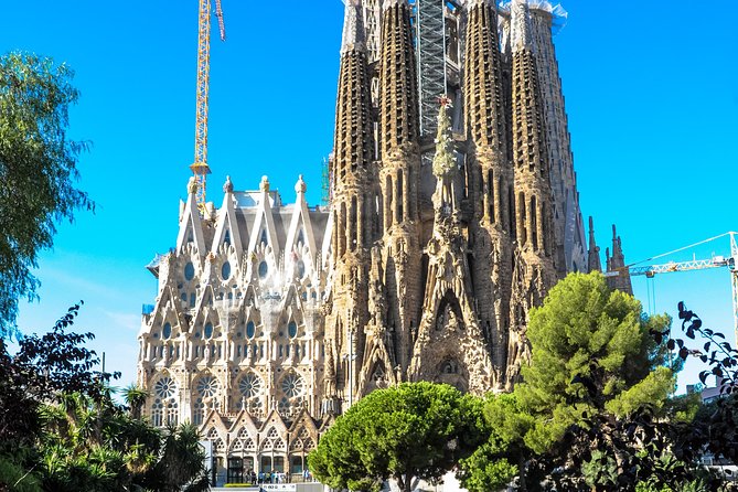 Barcelona Highlights & Sagrada Familia Tour: Priority Access - Gothic Quarter walking: the “old Barcelona” part you can feel