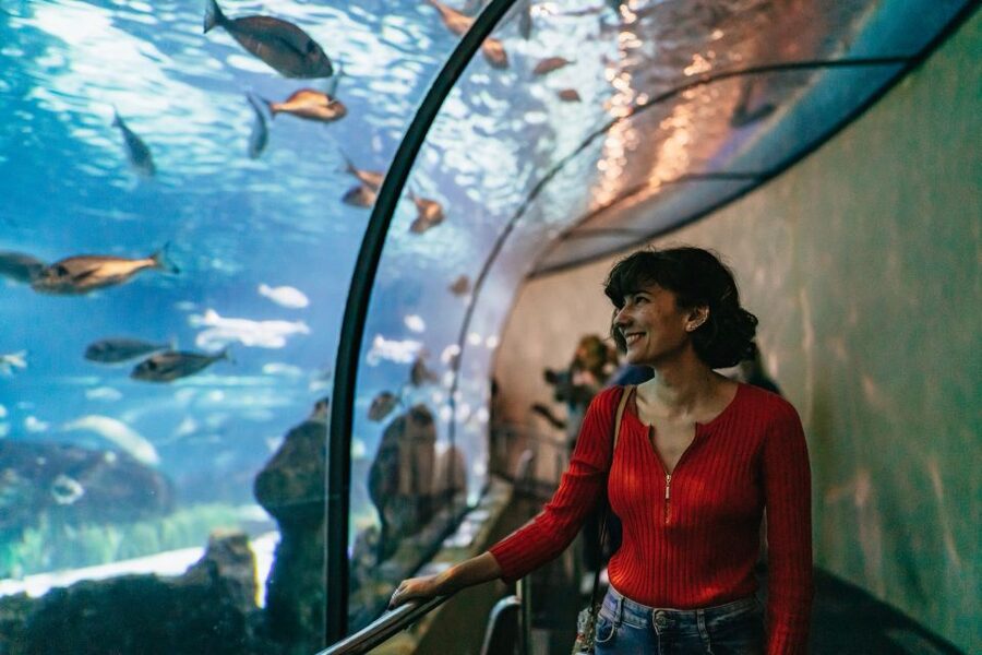 Barcelona: Hop-On Hop-Off Bus & Aquarium Tour - Key things to know before you go