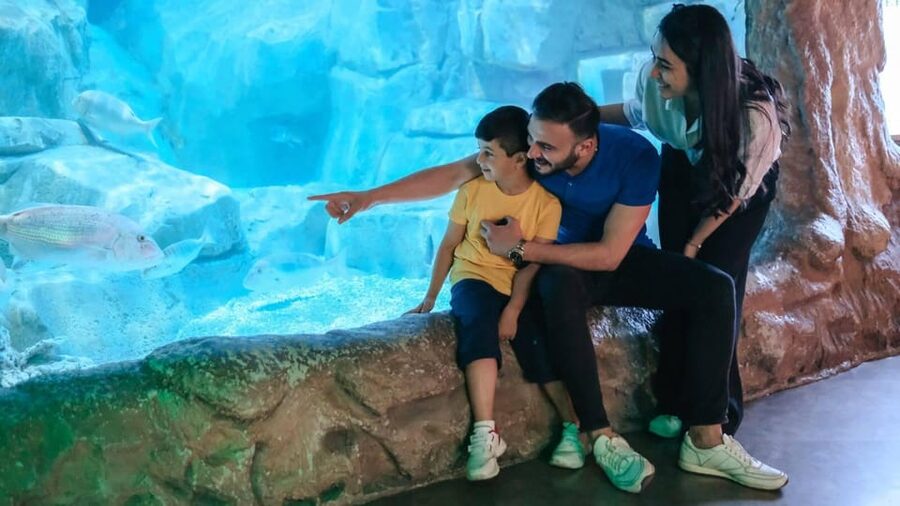 Barcelona: Hop-On Hop-Off Bus & Aquarium Tour - Why this red bus and Mediterranean Aquarium pair well