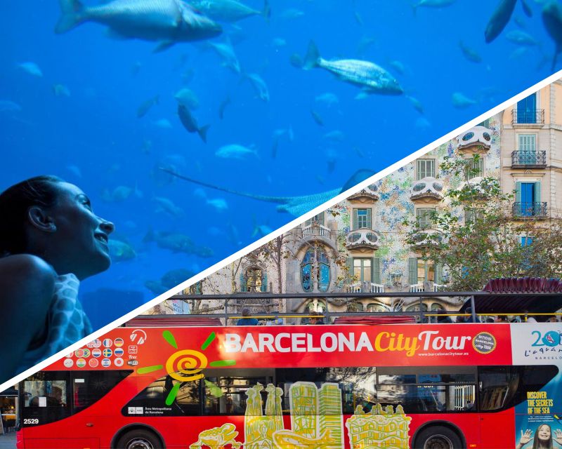 Barcelona: Hop-On Hop-Off Bus & Aquarium Tour - Tickets, timing, and how the two routes actually work