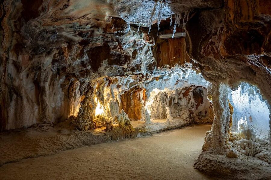 Barcelona: Monserrat, Castle and Salt Private Tour - Montserrat Monastery: La Moreneta, the Basilica organ, and the museum with major art