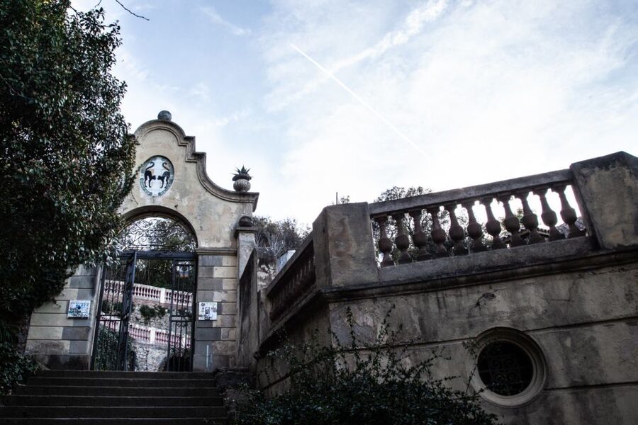 Barcelona: Montjuïc Walking Tour With Optional Flamenco Show - Optional Upgrade 2: Flamenco at El Paraigua, With a Complimentary Drink