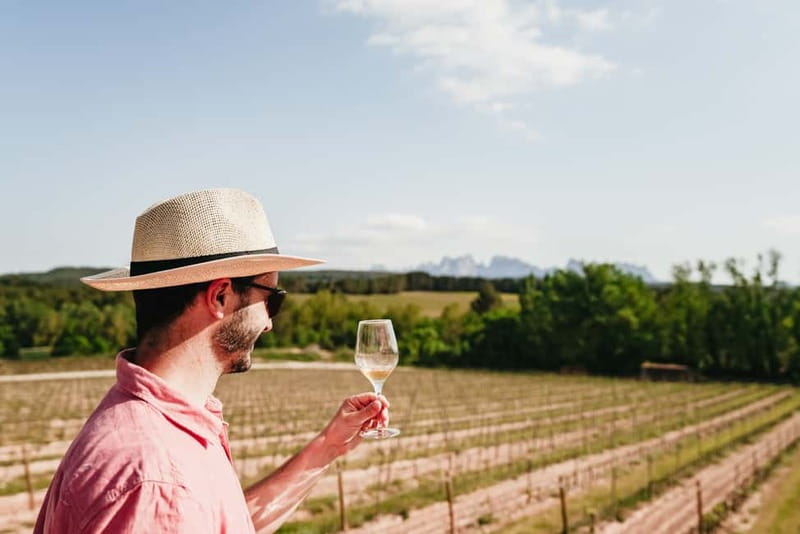Barcelona: Montserrat and Winery Tour with Tapas or Lunch - Building Your Free Time: Black Madonna, Choir, Museum, Funicular