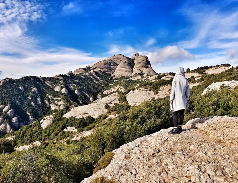 Barcelona: Montserrat Private Tour for Families with Pickup - Natural Park walking, wildlife viewing, and how the guide tailors it