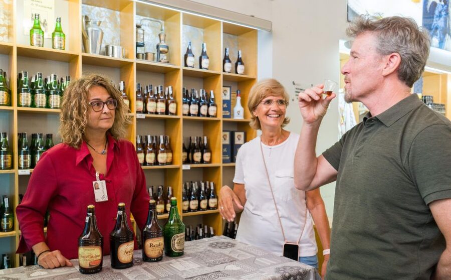Barcelona: Montserrat, Winery Tour & Lunch with Wine Tasting - Final Call: Should You Book This Barcelona to Montserrat Wine Day Trip?