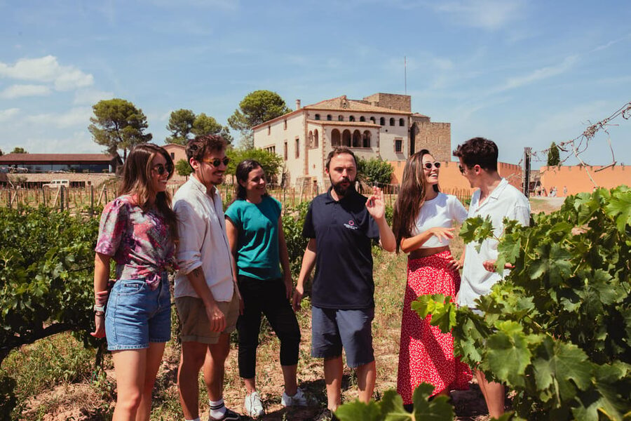 Barcelona: Montserrat with Winery, Lunch, and Train Options - Free Time on the Mountain: Viewpoints, Stations, and the Moments in Between