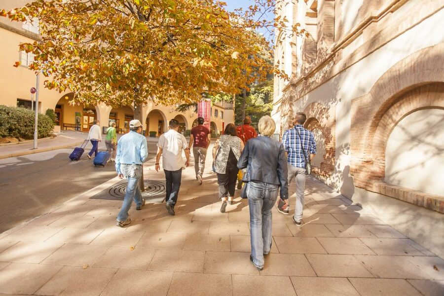 Barcelona: Montserrat with Winery Visit and Farmhouse Lunch - Montserrat on Your Terms: Basilica, Museum, and Funicular Views