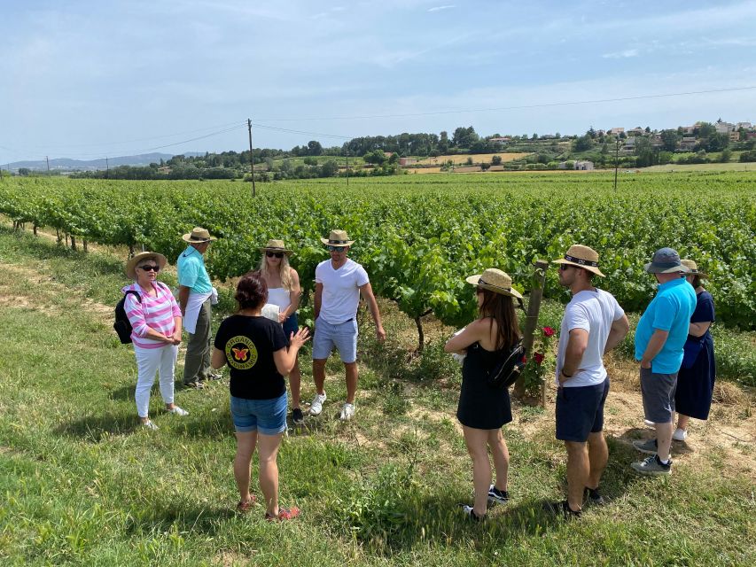 Barcelona: Montserrat with Winery Visit and Farmhouse Lunch - How to Spend Your Free Time on Montserrat (Easy to Serious Hikes)