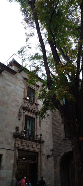 Barcelona: Mystical Walking Tour in the Gothic Quarter - Why This Gothic Quarter Tour Feels Like a Quiet Night Walk