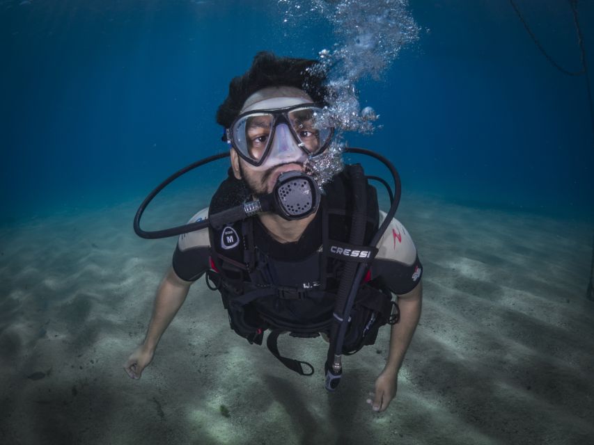 Barcelona: PADI Discover Scuba Diving - Price and Value: What $81 Really Buys You