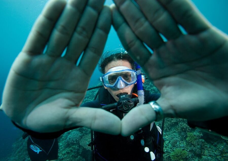 Barcelona: PADI Scuba Diver Course Certification Training - Key things to know before you go