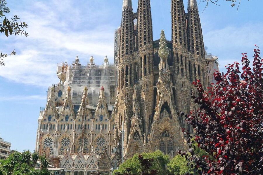 Barcelona & Park Güell: Private Half-Day Tour with Pickup - Park Güell with skip-the-line access, then time to wander