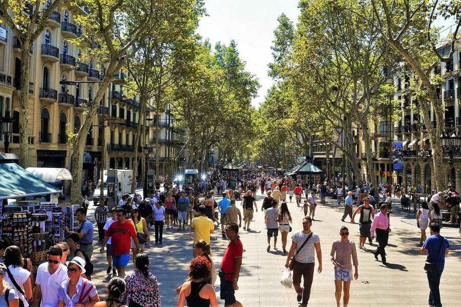 Barcelona & Park Güell: Private Half-Day Tour with Pickup - The Gothic Quarter finale: cathedral facade and Plaça Sant Jaume