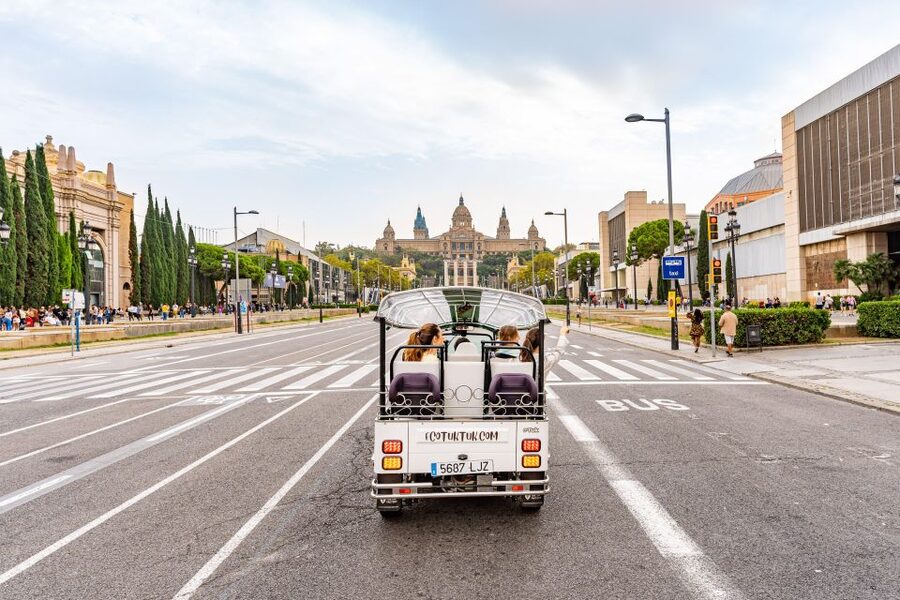 Barcelona: Private City Tour by Eco Tuk Tuk - Small-print items that can affect your day