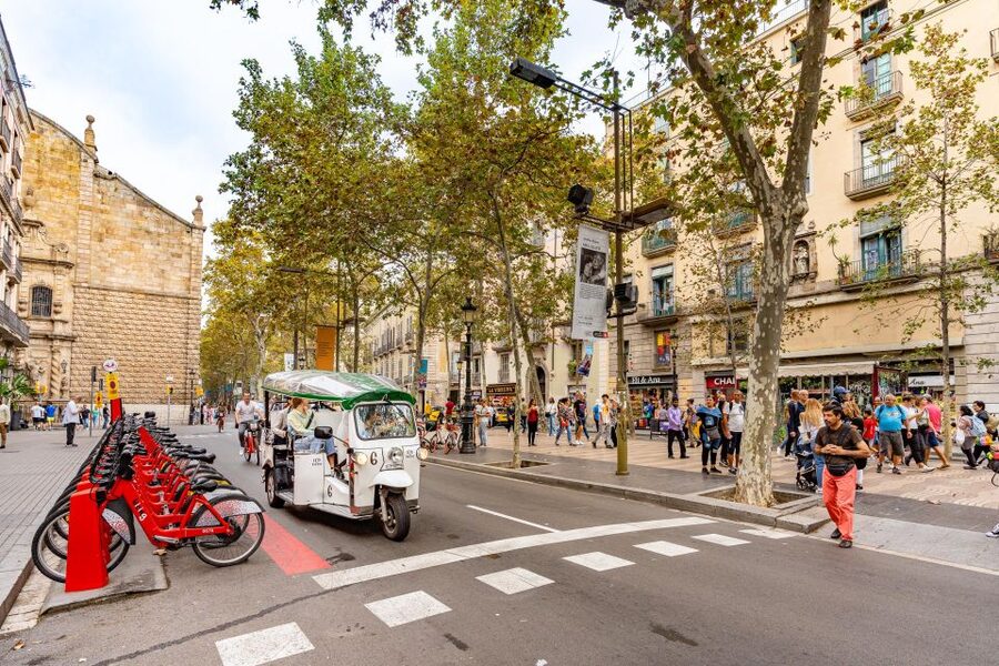 Barcelona: Private City Tour by Eco Tuk Tuk - Port Vell, Ciutadella Park, and the views that cool you down