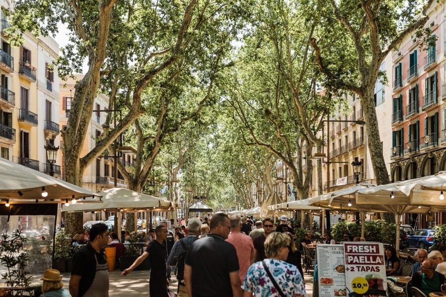 Barcelona: Private Custom Tour with a Local – Icons & Gems - What that coffee or snack stop gets you (besides caffeine)
