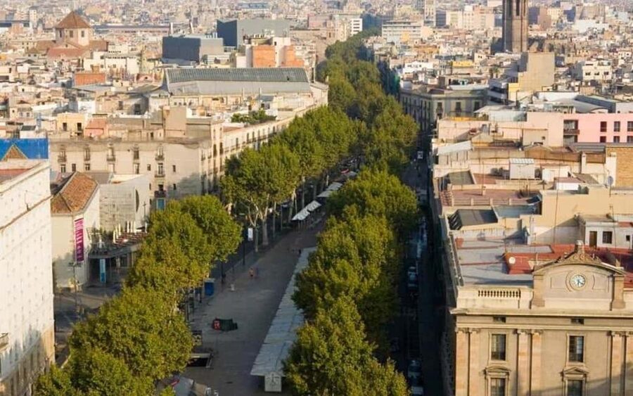 Barcelona: Private Half-Day Sightseeing Tour with a Local - Who This Tour Suits Best (and Who Might Prefer Something Else)