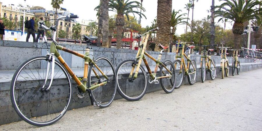 Barcelona: Private Highlights Tour by Bamboo Bicycle - Drinks, Tapas, and a 2-Course Meal That Fits the Ride