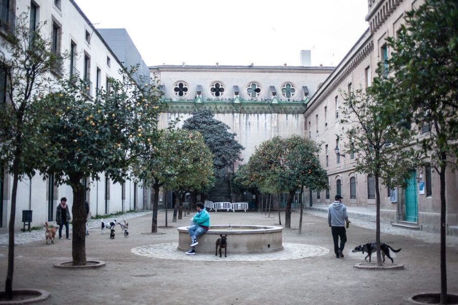 Barcelona's Dark History Walking Tour in El Raval - MACBA and Keith Haring’s Stick Characters With a Political Message