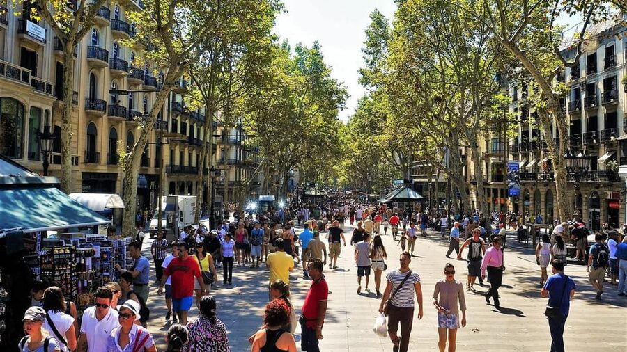 Barcelona: Sagrada Familia and Park Güell with Hotel Pickup - Paella and Sangria Time, With a Key Reality Check
