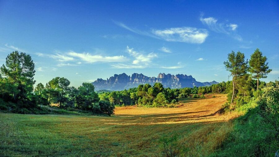 Barcelona: Sagrada Familia & Montserrat Full-Day with Pickup - Price and value: what $128 really covers