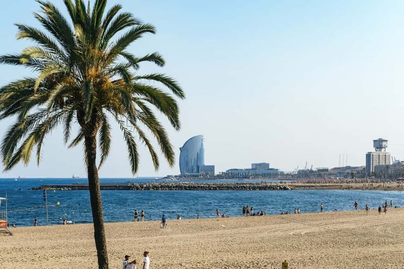 Barcelona: Sagrada Familia or Coastal City Sights by eBike - How the guides shape the experience (and why it shows)