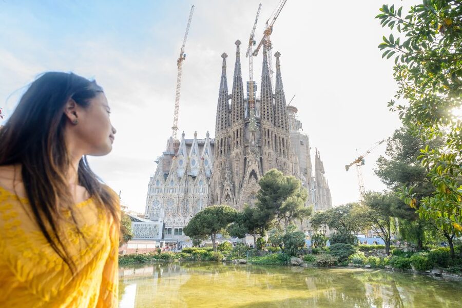 Barcelona: Sagrada Familia Tour & Optional Tower Visit - Key highlights you should care about