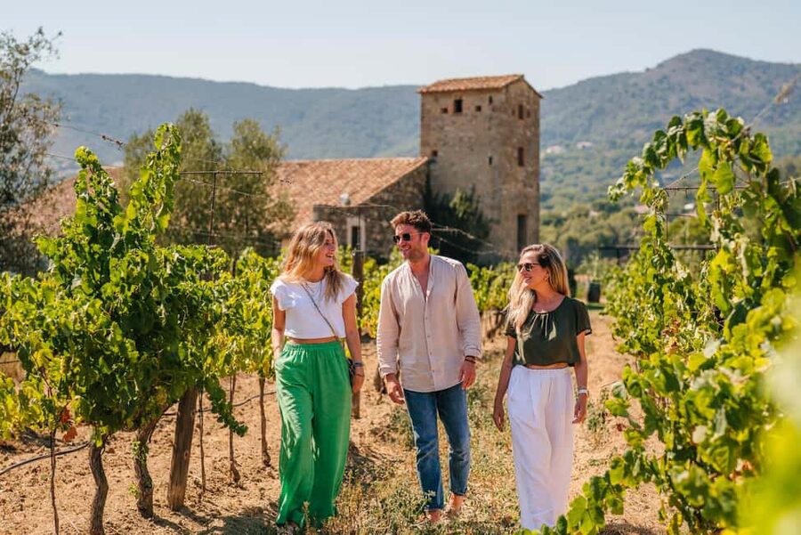 Barcelona: Sailing Cruise & Vineyard Tour with Wine Tasting - Practical Tips Before You Go (So the Day Feels Smooth)