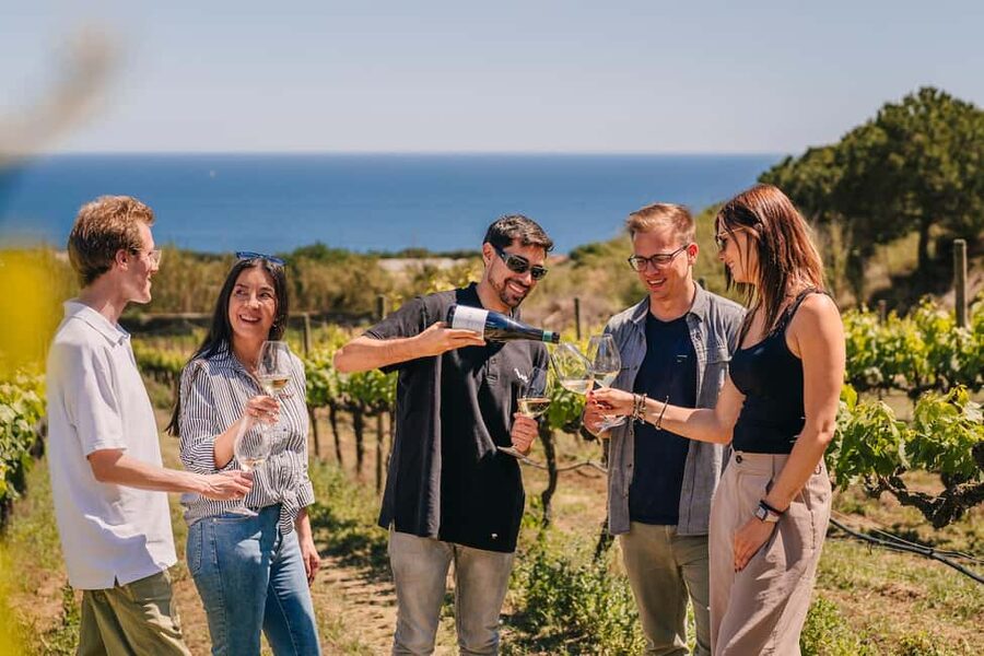 Barcelona: Sailing Cruise & Vineyard Tour with Wine Tasting - Why Alella Works So Well With a Barcelona Sail