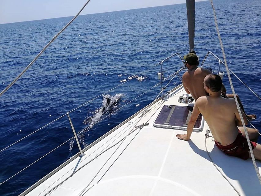 Barcelona: Sailing Trip with Drinks and Snacks - From Sagrada Família to the skyline: how the landmark views work