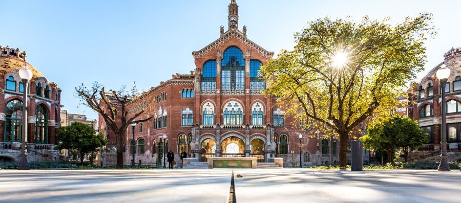 Barcelona: Sant Pau Recinte Modernista Entry Ticket - The hospital plan: why this is more than architecture
