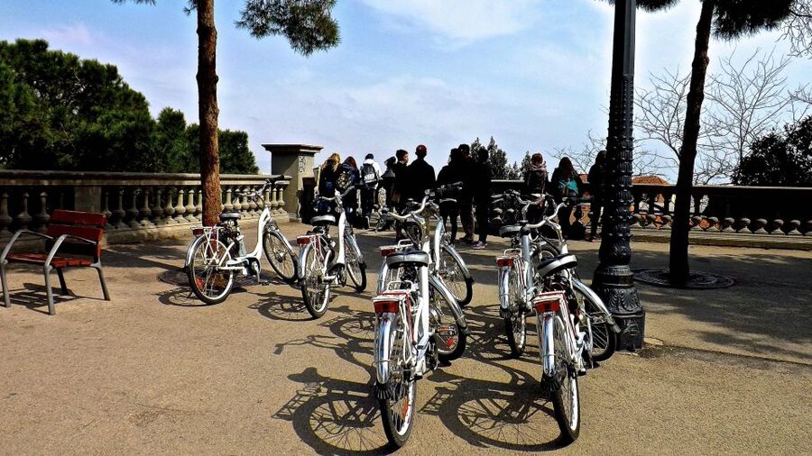 Barcelona: Small Group or Private Bike Tour - Montjuïc Views: The Payoff Segment
