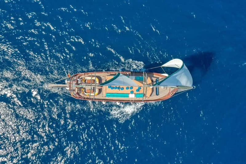 Barcelona: Supercar Driving & Boat Experience - Key Things I’d Book This For