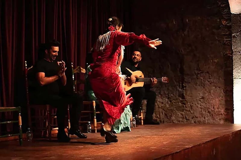 Barcelona: Tapas and Wine with Flamenco Show in the Old Town - Price and value, what $96 buys you in the real world