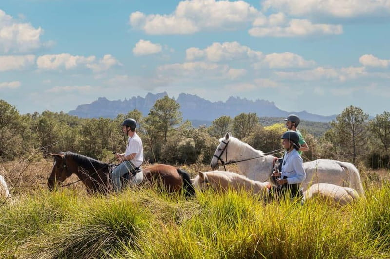 Barcelona: Walking and Horse Riding Day-Trip in Montserrat - The horseback ride at the ranch: 3 hermitage routes and real mountain time