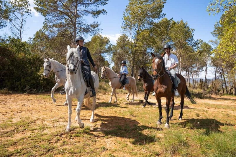 Barcelona: Walking and Horse Riding Day-Trip in Montserrat - Who this Montserrat walking and horseback day trip fits best