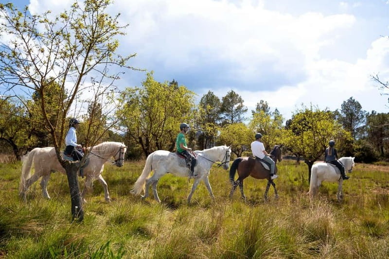Barcelona: Walking and Horse Riding Day-Trip in Montserrat - Meeting point and the 8:00 AM departure reality