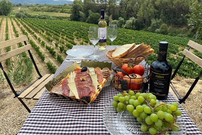 Cava tour to 3 family wineries with hotel pick-up - Stop One at Artcava: Old Farmhouse Cava and a Friendly Welcome