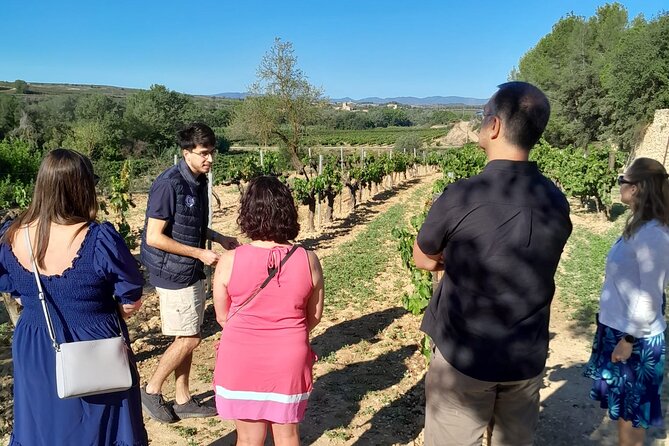 Cava tour to 3 family wineries with hotel pick-up - Drinks, Food, and Pacing: How They Avoid the Typical Wine-Day Fatigue