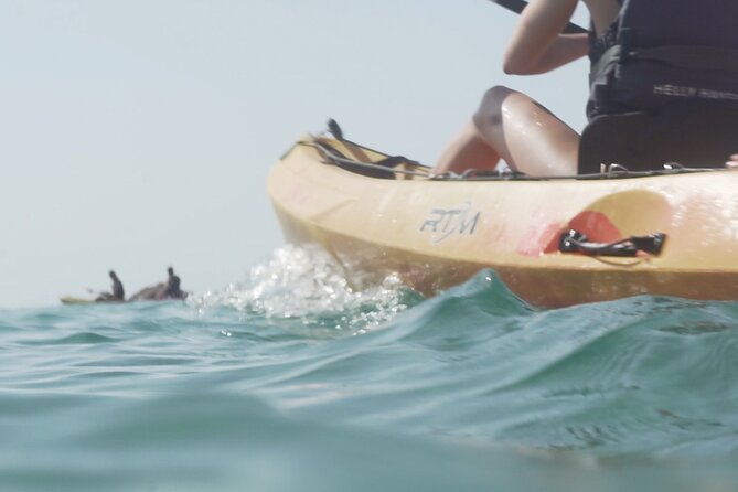 Costa Brava: Kayak, Snorkel, Photos, Lunch, Beach & Cliff Jump! - Price and value: what $72.56 really buys you