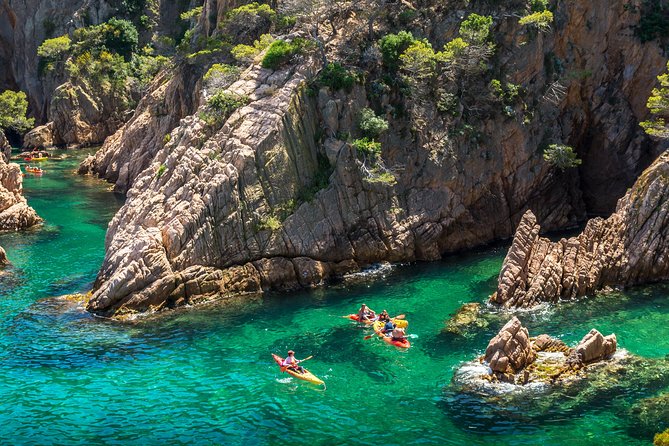 Costa Brava Kayaking and Snorkeling Small Group Tour with Lunch - Snorkeling clarity and what you might see
