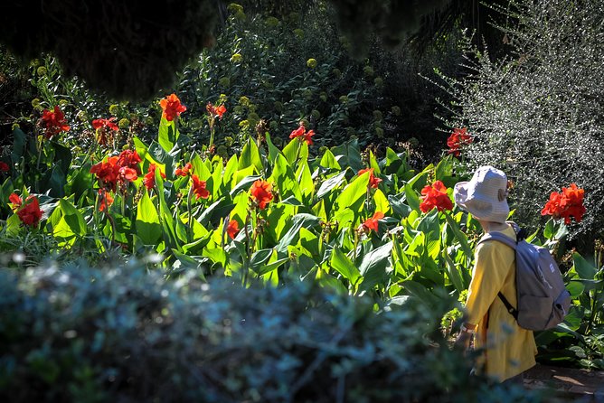Costa Brava & Medieval Village Tour with Lunch - Marimurtra Botanical Gardens: cliff views, not just plants