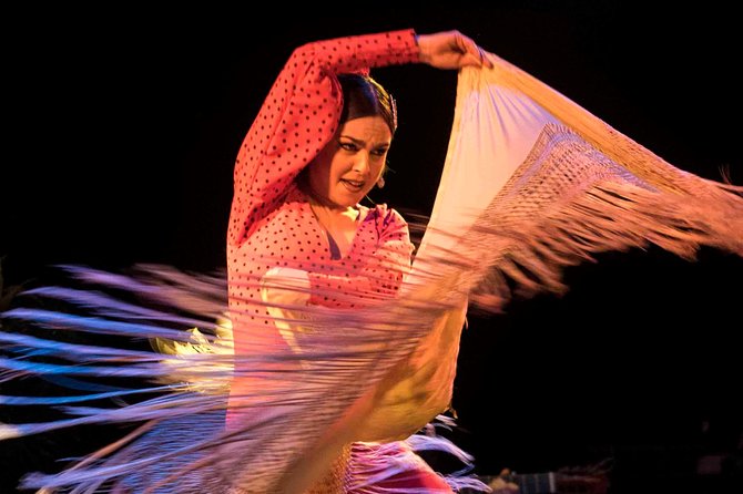 Flamenco Show Ticket at Theatre Barcelona City Hall - Who should book this flamenco show ticket?