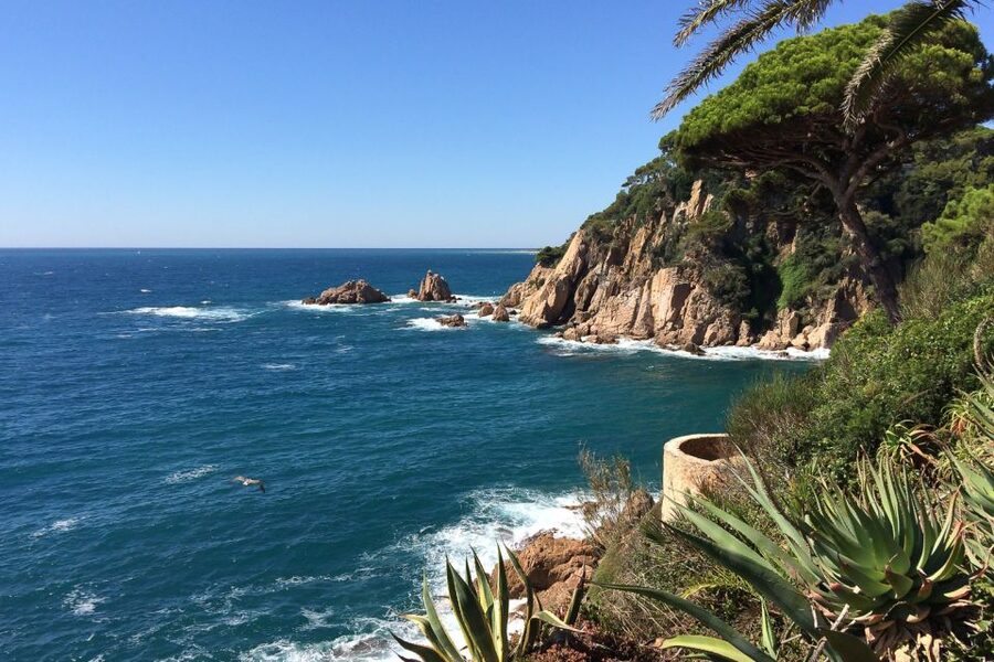 From Barcelona: Costa Brava Day Tour with Lunch - The cove beach break: when swimming is the point