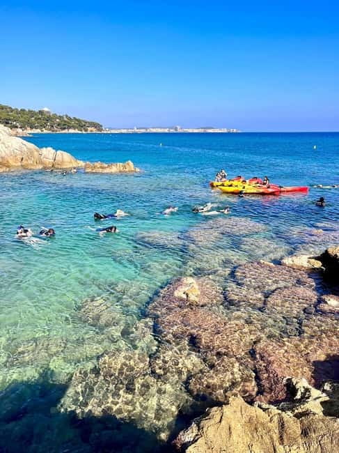 From Barcelona: Costa Brava Kayak & Snorkel Tour with Picnic - Snorkeling in Costa Brava waters: fish schools, sea urchins, and gear reality