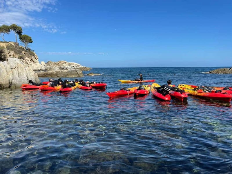 From Barcelona: Costa Brava Kayak & Snorkel Tour with Picnic - Cliff or rock jumping: fun option, not a requirement