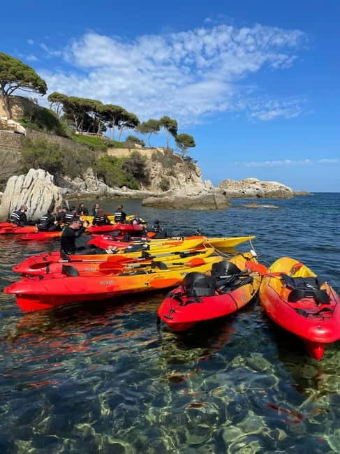 From Barcelona: Costa Brava Kayak & Snorkel Tour with Picnic - Who this Costa Brava kayak and snorkel tour fits best
