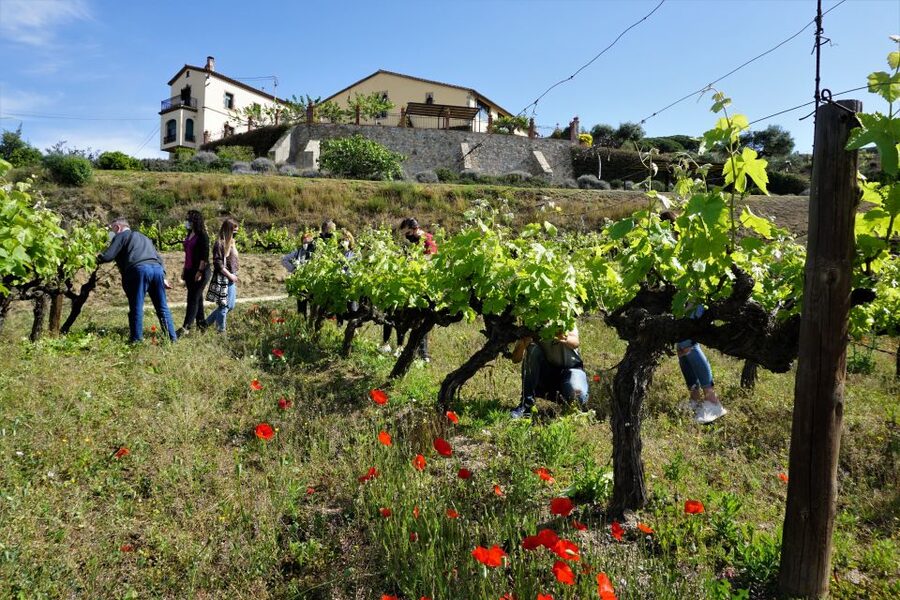 From Barcelona: E-Bike and Sailing Tour with Wine Tastings - Key things to know before you go