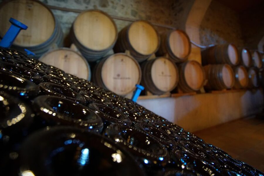 From Barcelona: E-Bike and Sailing Tour with Wine Tastings - How the tour’s 5 to 6.5 hours actually works